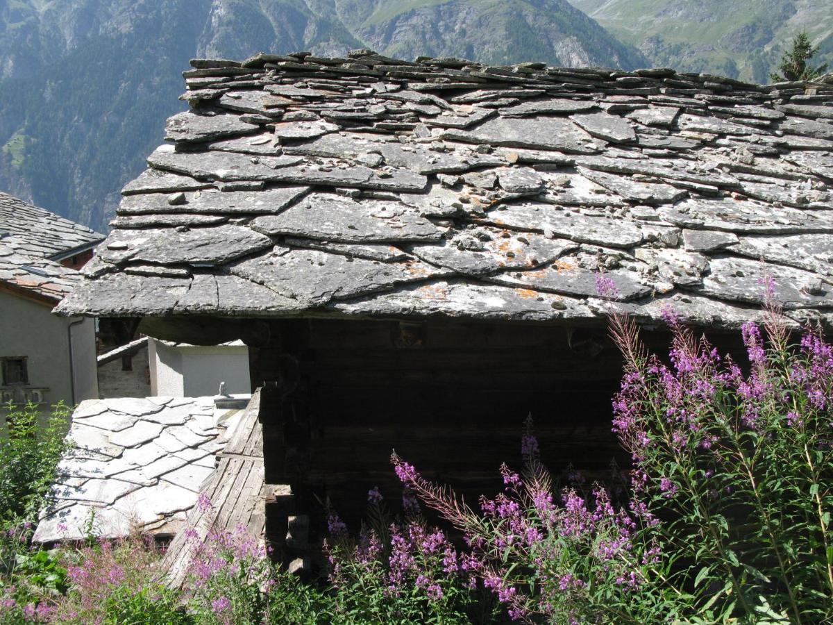 Alpia 26 - Zwei Zimmerwohnung In Traditionellem Walliser Haus Gasenried Exterior foto