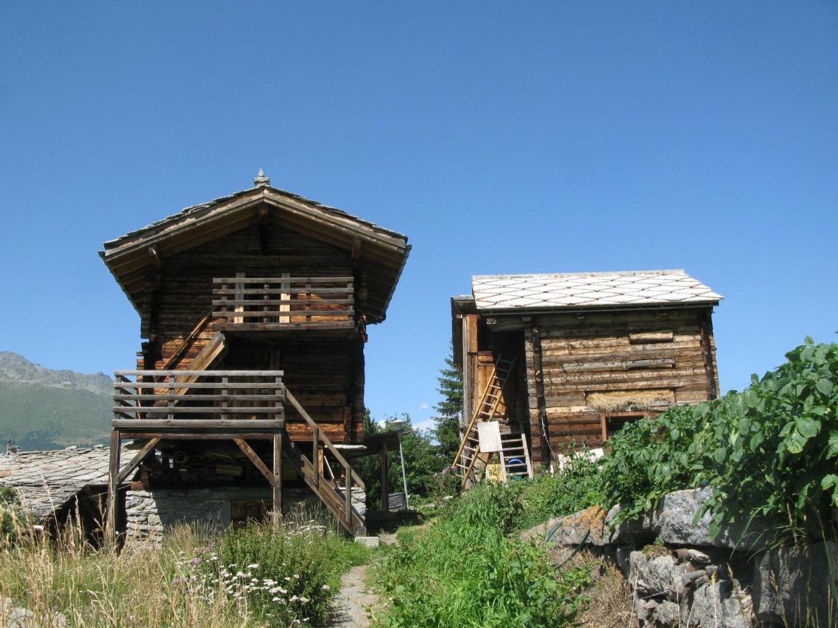 Alpia 26 - Zwei Zimmerwohnung In Traditionellem Walliser Haus Gasenried Exterior foto